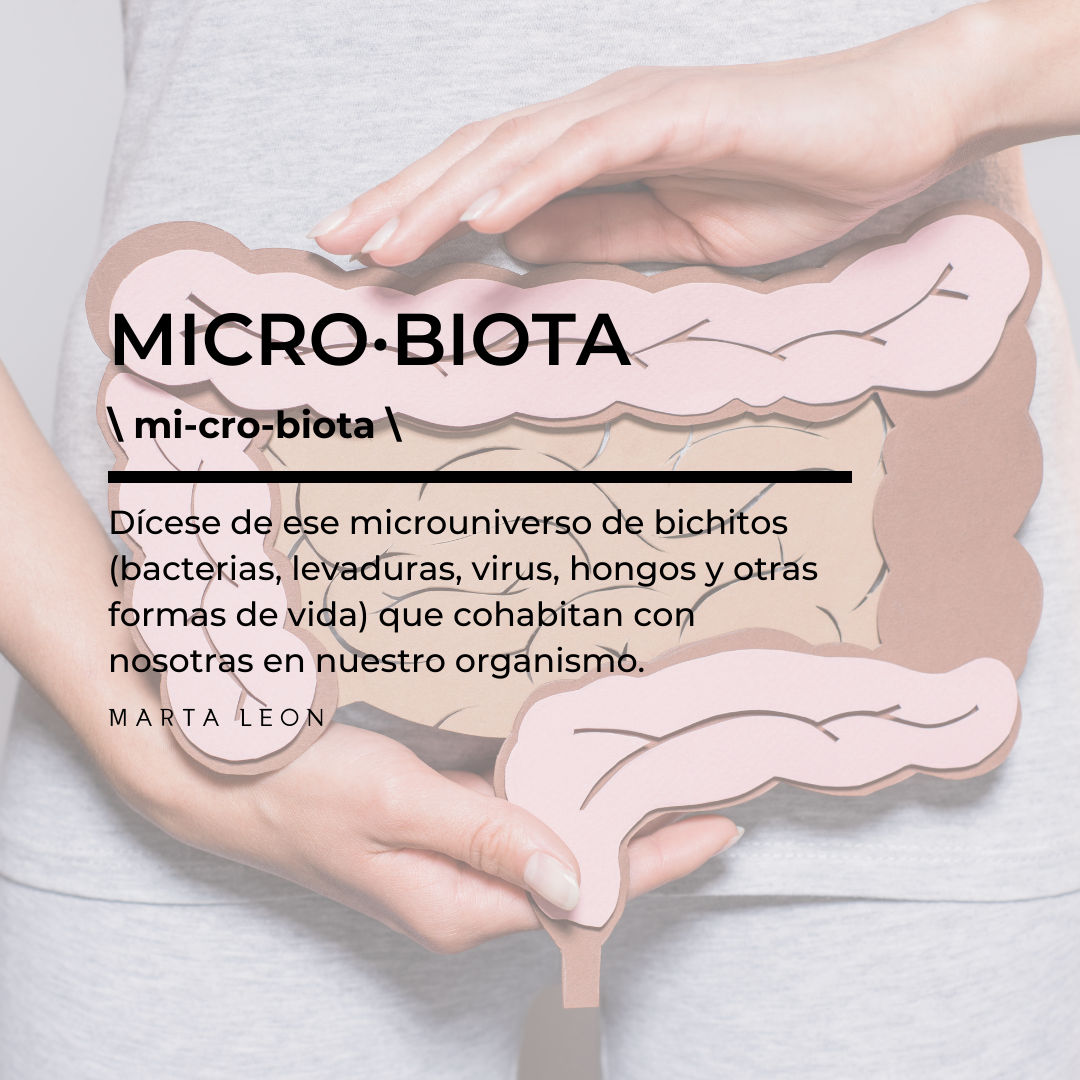 Microbiota, intestino y ciclo menstrual