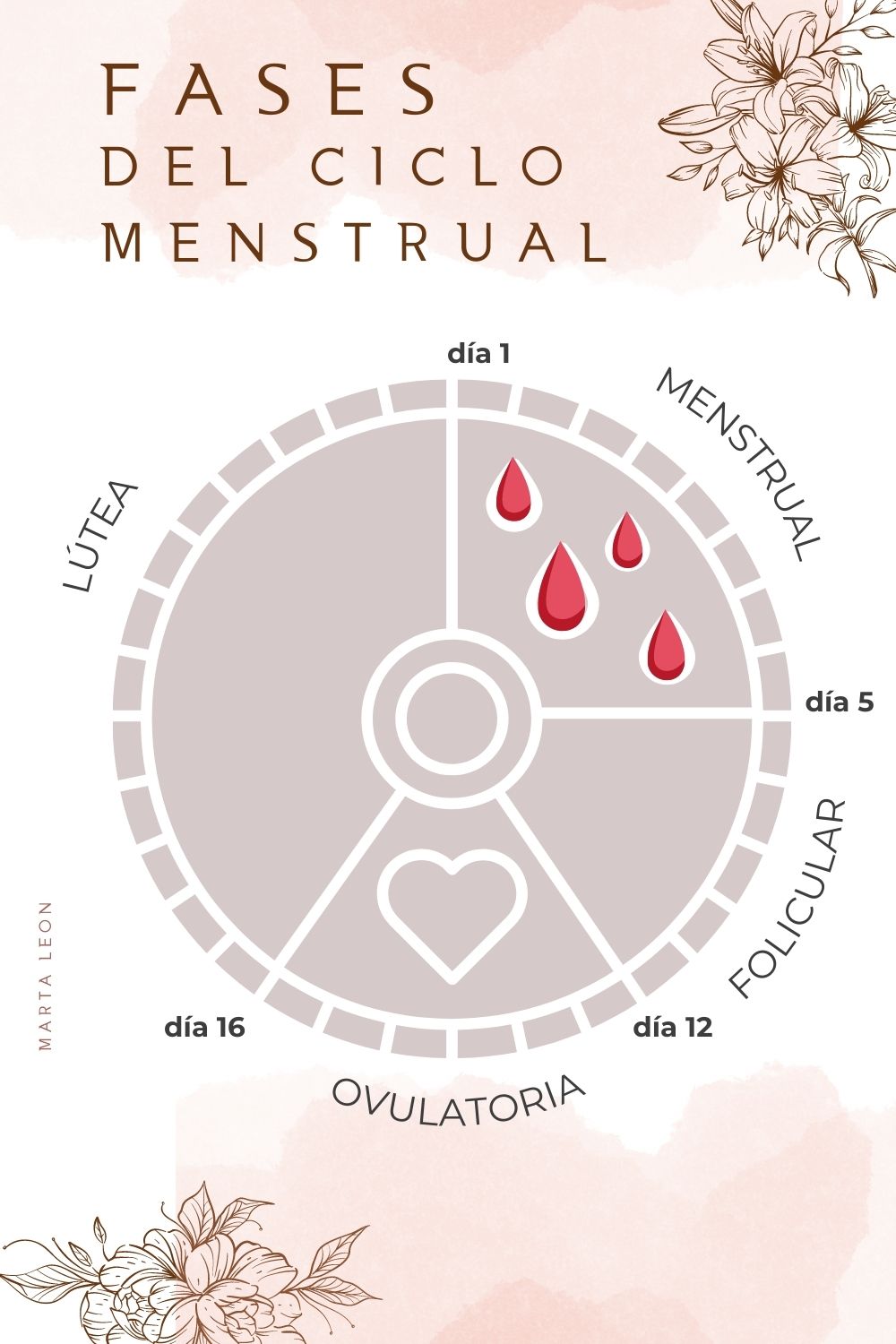 esquema con las cuatro fases del ciclo menstrual