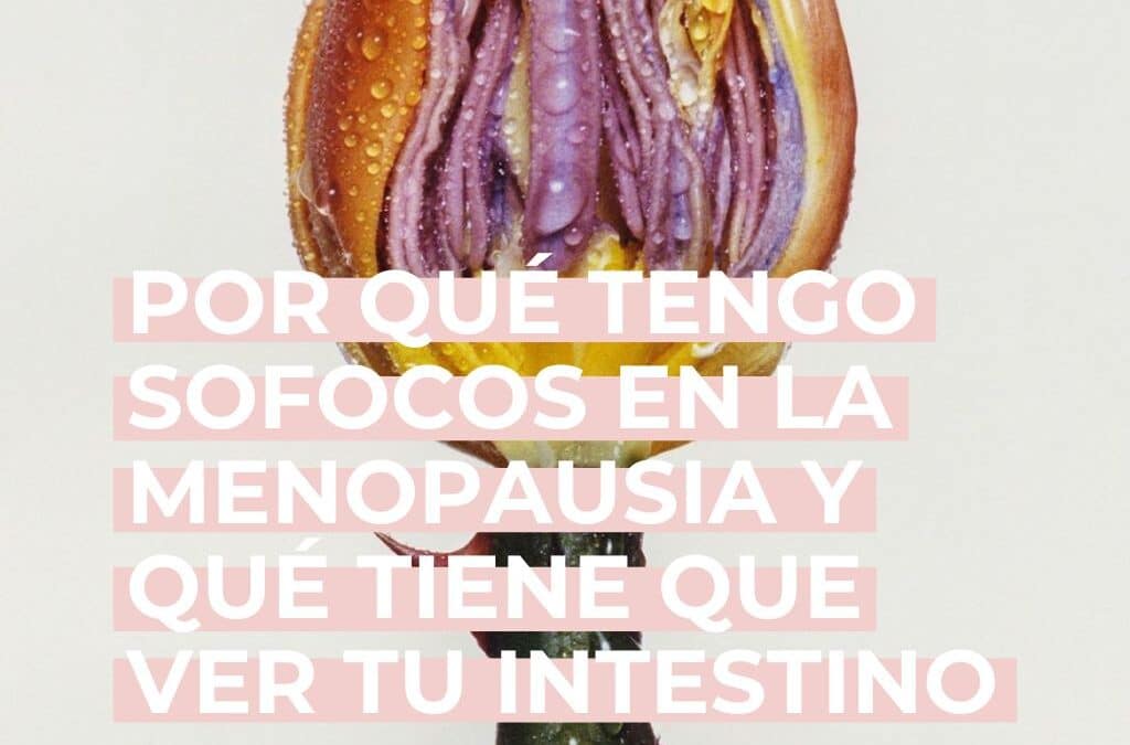 Por qué tengo sofocos en la menopausia y qué tiene que ver tu intestino