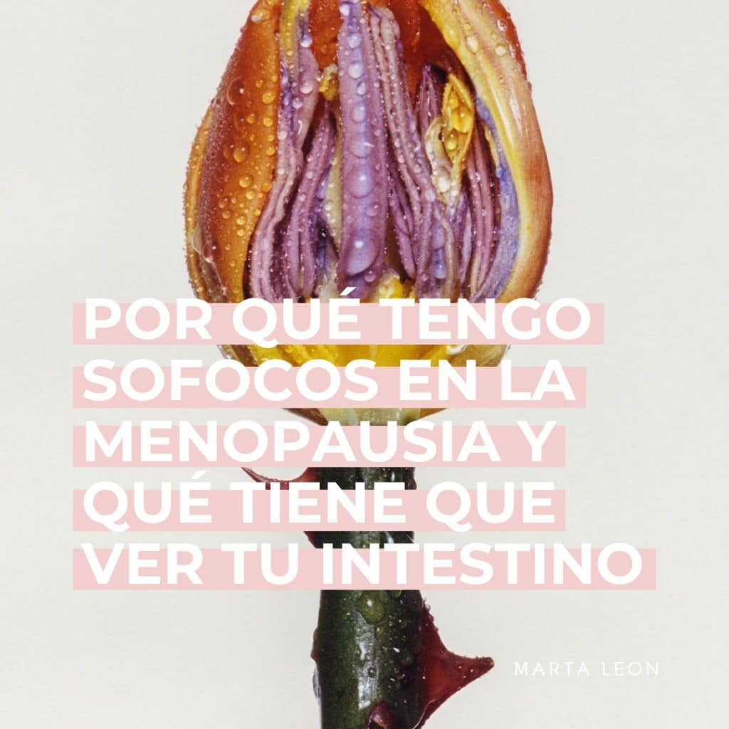 Por qué tengo sofocos en la menopausia y qué tiene que ver tu intestino