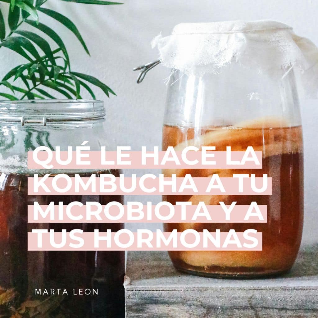 Qué le hace la kombucha a tu microbiota y a tus hormonas